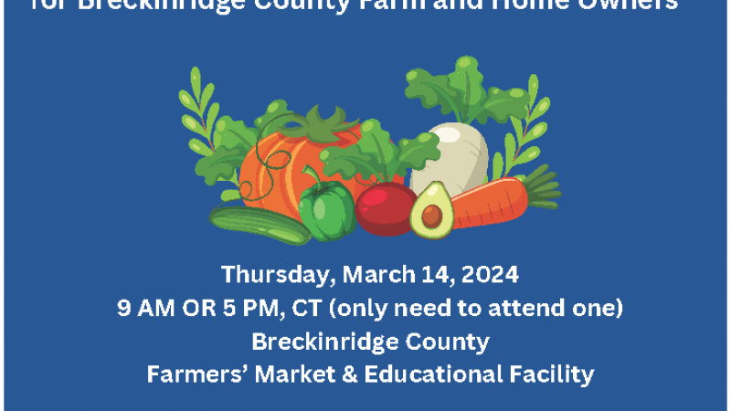 Farmers' Produce Market Training Flyer