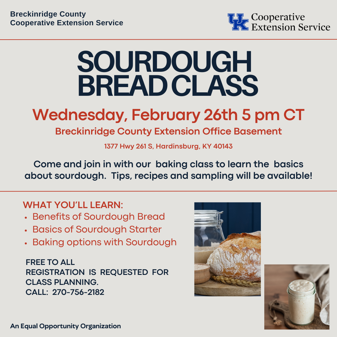 Sourdough Bread Class