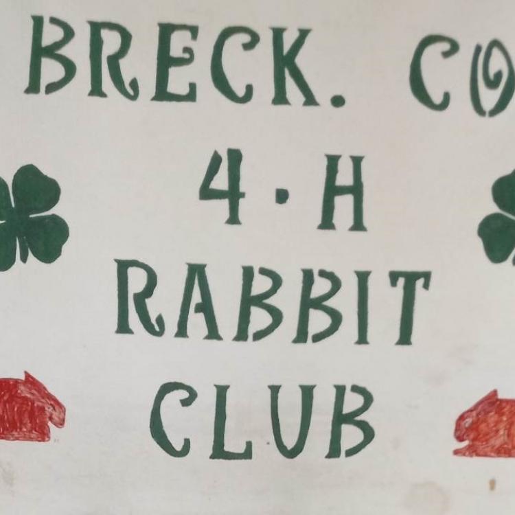  rabbit club banner