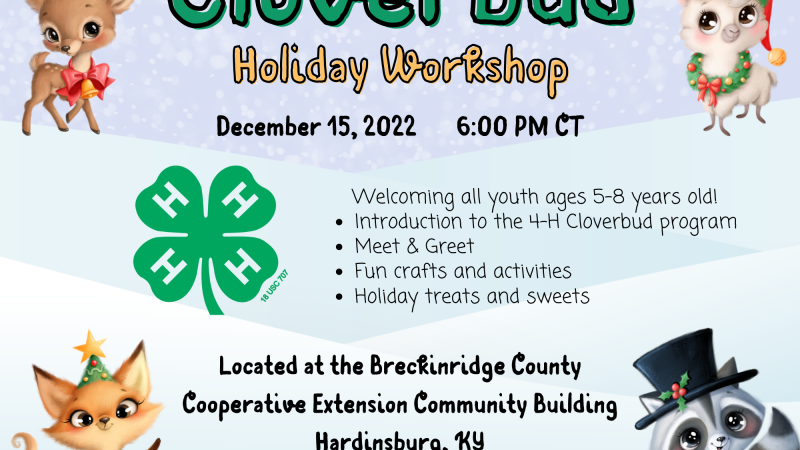 4-H Cloverbud Holiday Workshop Flyer